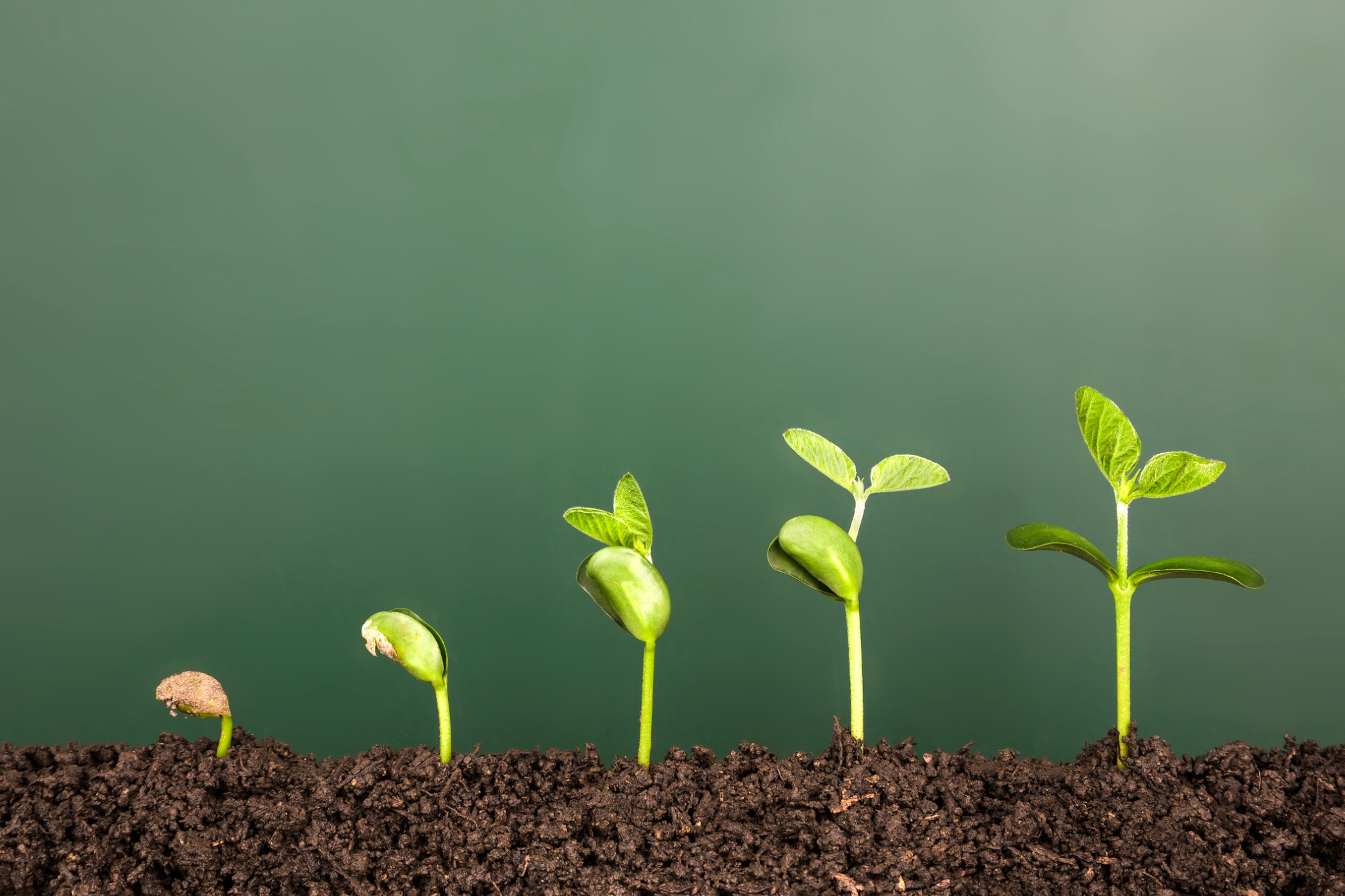 Is Your Contingency Fee Law Firm a Growth Starter?
