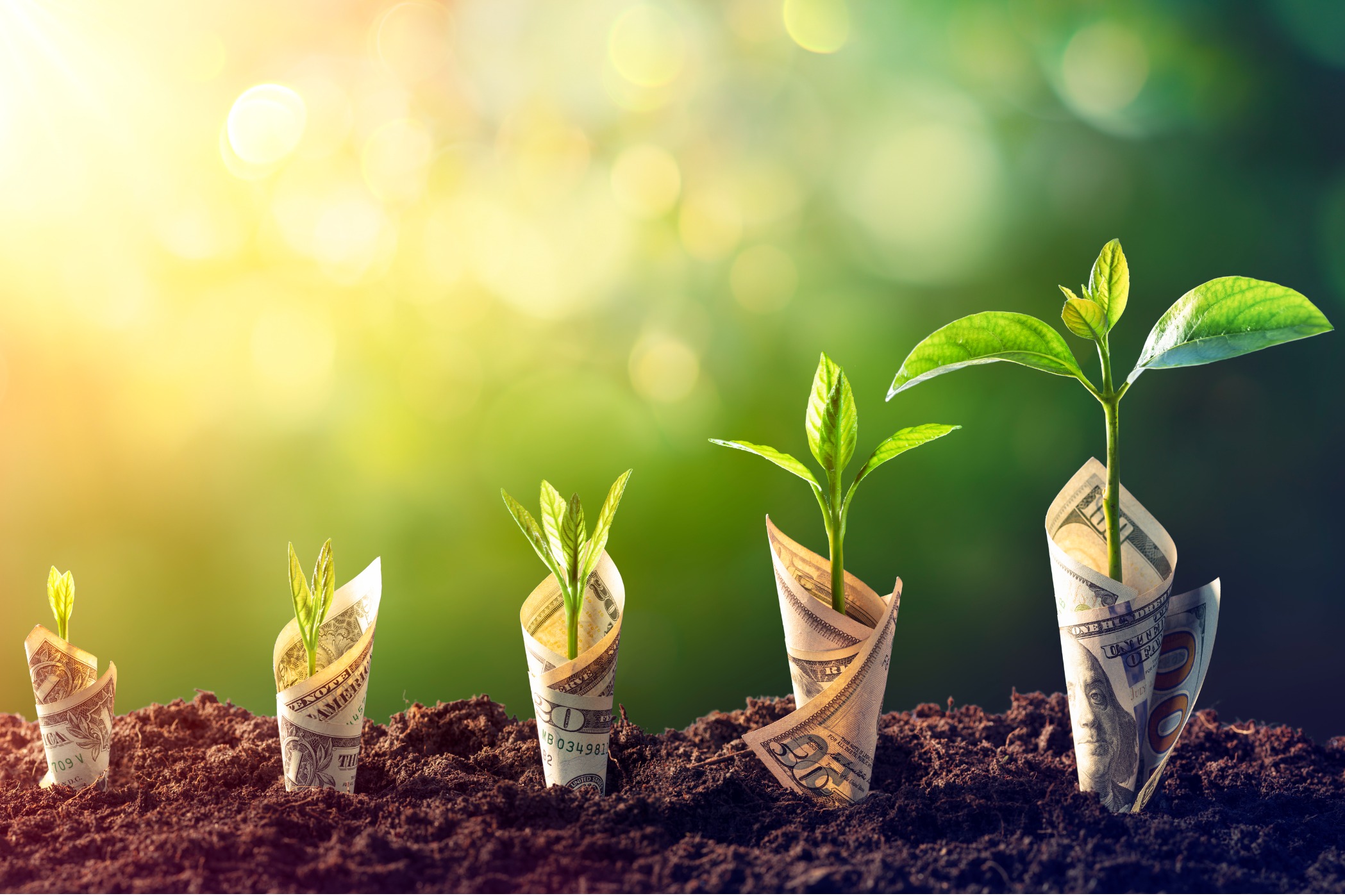 Trial Lawyers: 5 Key Areas to Invest in for Growing Your Law Firm
